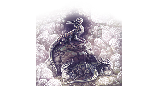 🎟️🐲 Creatures Book Collection