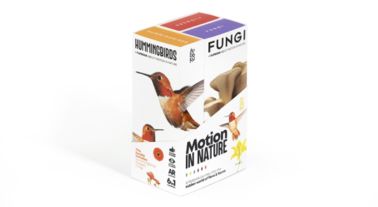 Moving Art Bundle